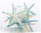 Starfish Decor 10 Blue Green & White Finger Star Fish 6-8 Inch Starfish for Crafts